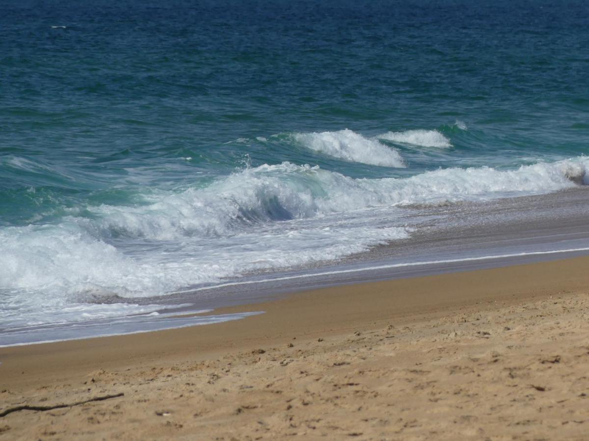 הוילה Saint-Martin-de-Seignanx Toki Eder Chez Marisol, Piscine Chauffee, Decoration Soignee Et Ocean A 15 Minutes Entre Bayonne Et Hossegor מראה חיצוני תמונה
